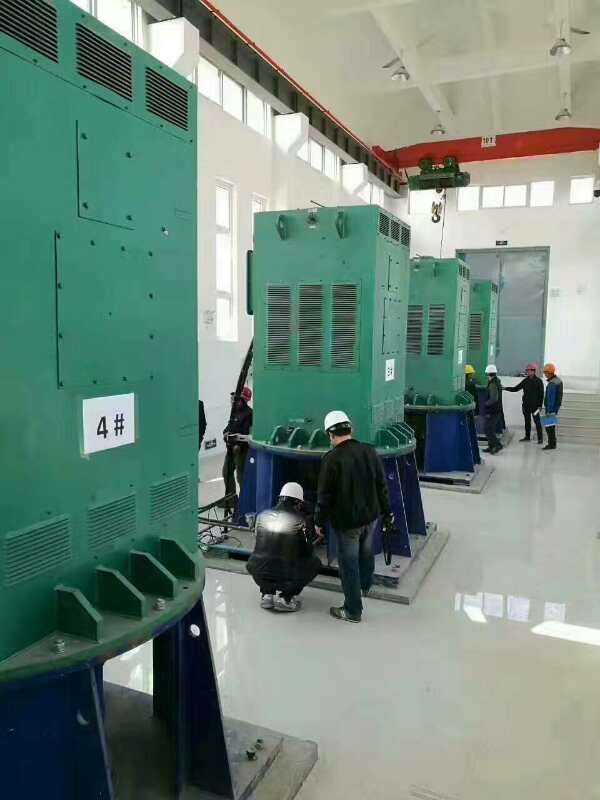 荆门某污水处理厂使用我厂的立式高压电机安装现场
