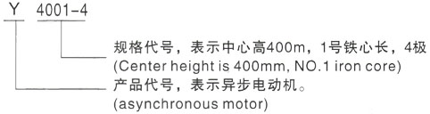 西安泰富西玛Y系列(H355-1000)高压荆门三相异步电机型号说明